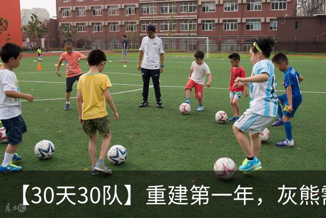 【30天30队】重建第一年，灰熊需要找到伤病潮原因