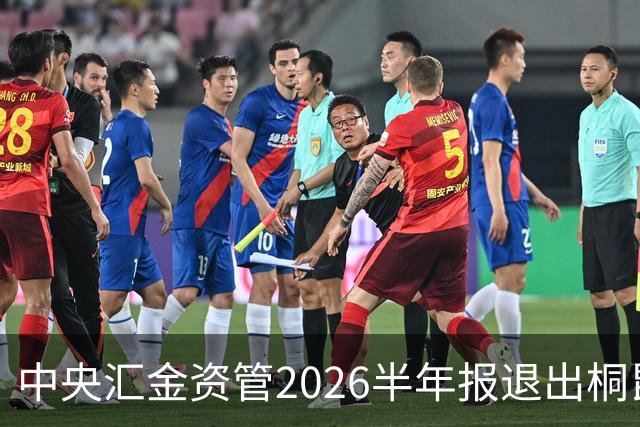 中央汇金资管2026半年报退出桐昆股份前十大股东名单