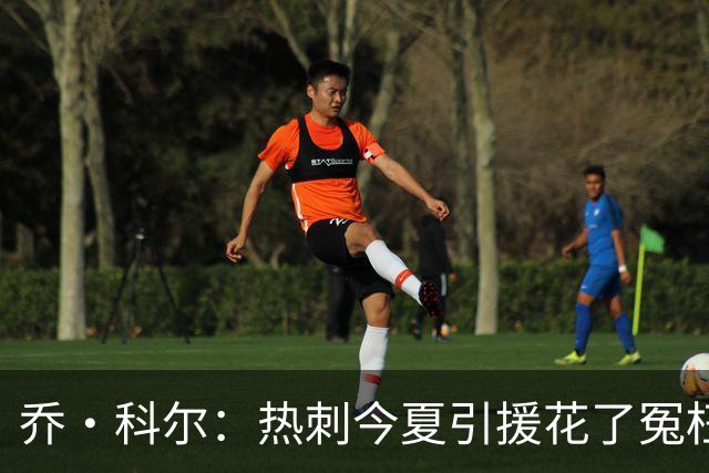 乔·科尔：热刺今夏引援花了冤枉钱，范赫克进了球但防守不合格