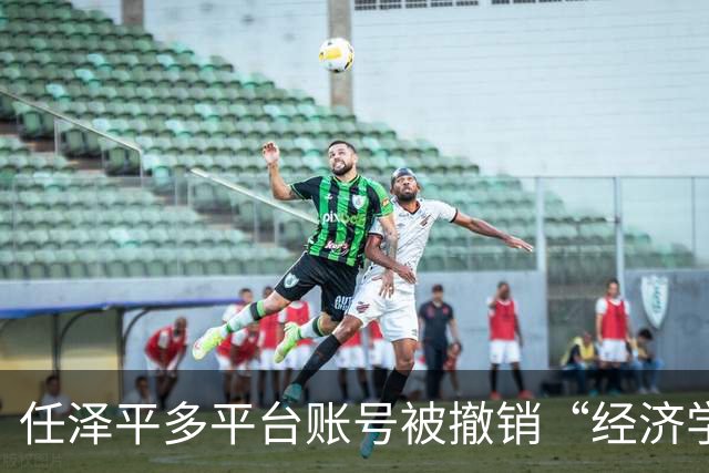 任泽平多平台账号被撤销“经济学家”认证