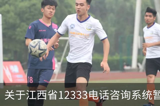 关于江西省12333电话咨询系统暂停服务的公告