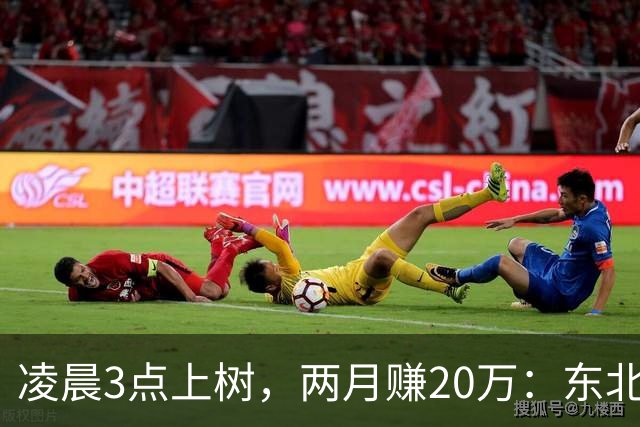 凌晨3点上树，两月赚20万：东北这份玩命工作，钱没那么好挣