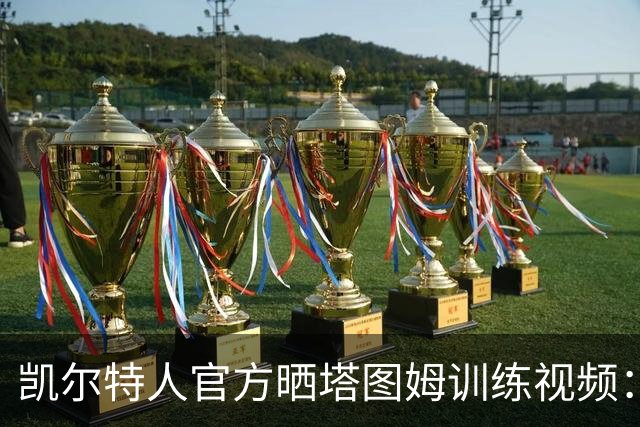 凯尔特人官方晒塔图姆训练视频：标志性跳投弹无虚发！