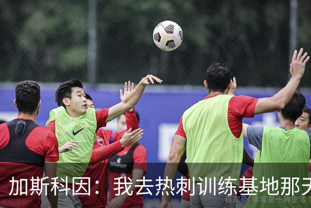 加斯科因：我去热刺训练基地那天，就知道这赛季要出事