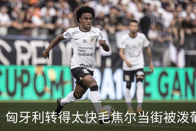 匈牙利转得太快毛焦尔当街被泼葡萄酒，矛头直指欧尔班