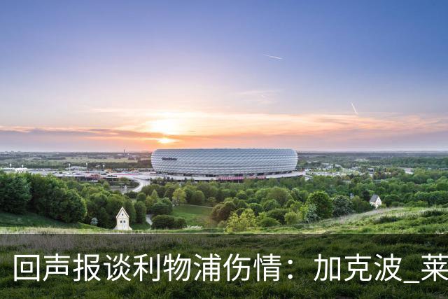 回声报谈利物浦伤情：加克波 莱奥尼11月复出，埃基蒂克11月-12月