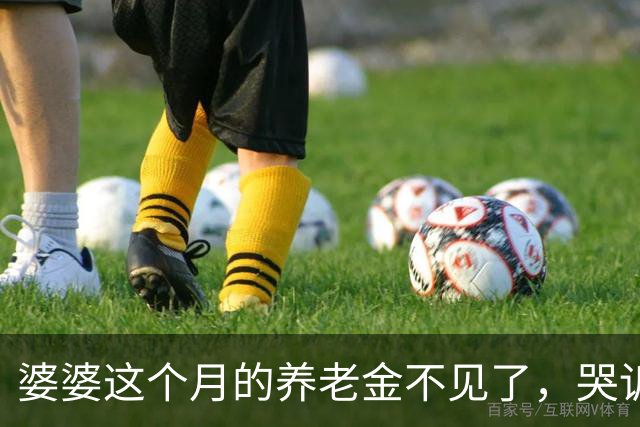 婆婆这个月的养老金不见了，哭诉说是我偷偷取走的