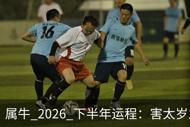 属牛 2026 下半年运程：害太岁之年，能否翻身，有没有横财运？