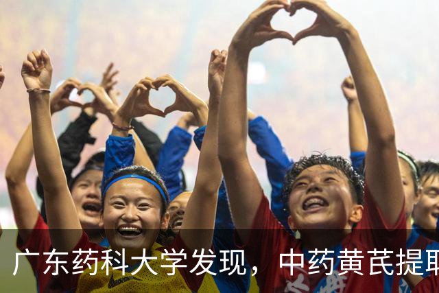 广东药科大学发现，中药黄芪提取物可缓延心脏衰老，改善心脏功能