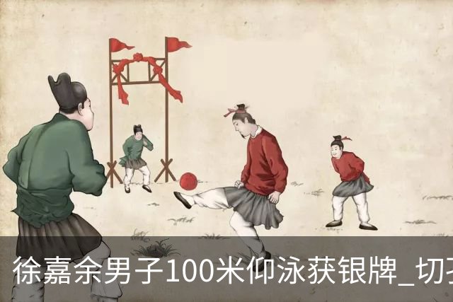 徐嘉余男子100米仰泳获银牌 切孔夺金