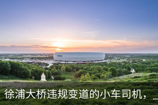 徐浦大桥违规变道的小车司机， 这事尘埃落定之后要面临 4 个窘境