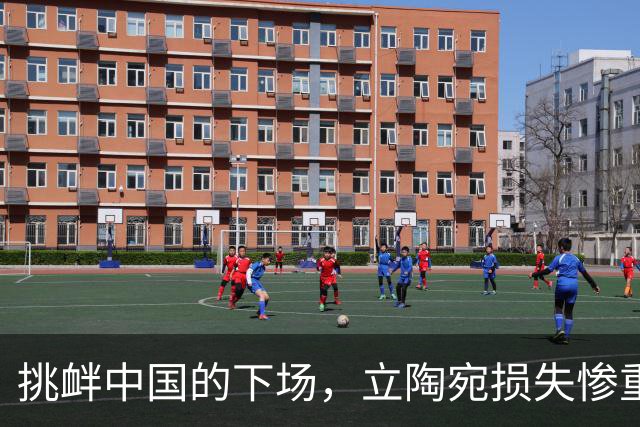 挑衅中国的下场，立陶宛损失惨重：1300多家企业倒闭，六万人失业