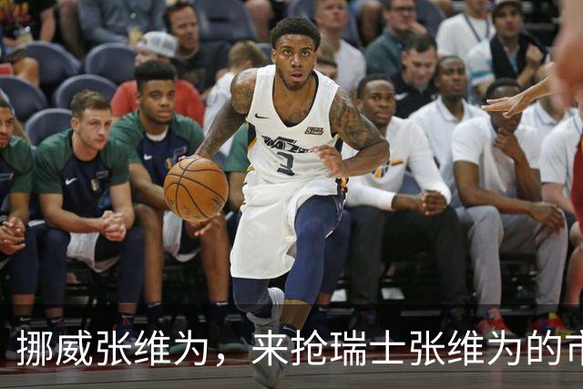 挪威张维为，来抢瑞士张维为的市场了