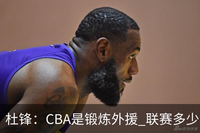 杜锋：CBA是锻炼外援 联赛多少场也没用 国家队后卫支配球机会很小
