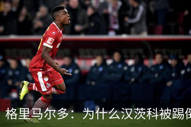 格里马尔多：为什么汉茨科被踢倒但VAR没介入？我们需要一个解释