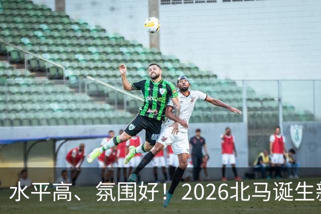 水平高、氛围好！2026北马诞生新纪录，赛事组织获选手认可