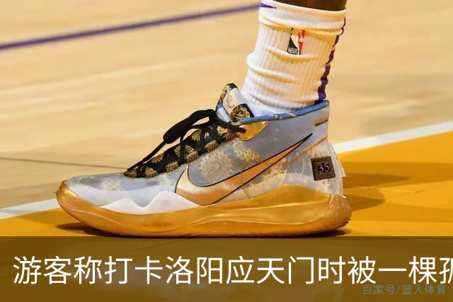 游客称打卡洛阳应天门时被一棵孤树遮挡，网友称“树比门早”，当地：树是百年古树，修建应天门时专门保留