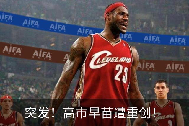 突发！高市早苗遭重创！