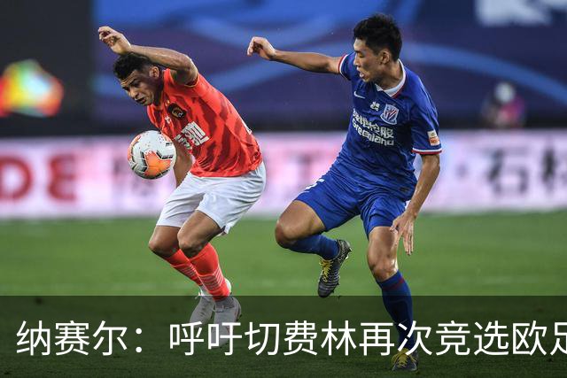 纳赛尔：呼吁切费林再次竞选欧足联主席，我们需要你