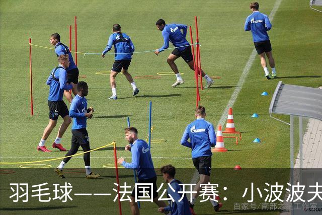 羽毛球——法国公开赛：小波波夫男单夺冠