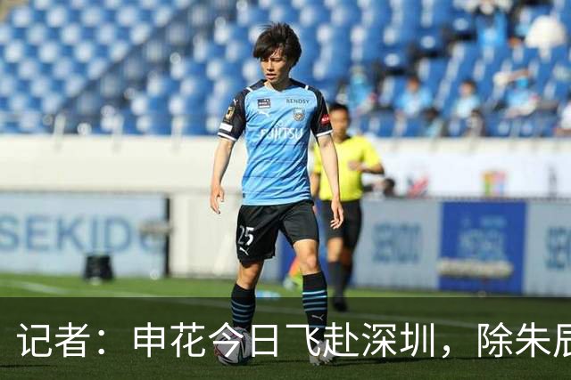 记者：申花今日飞赴深圳，除朱辰杰盖伊等伤员外几乎全员出征