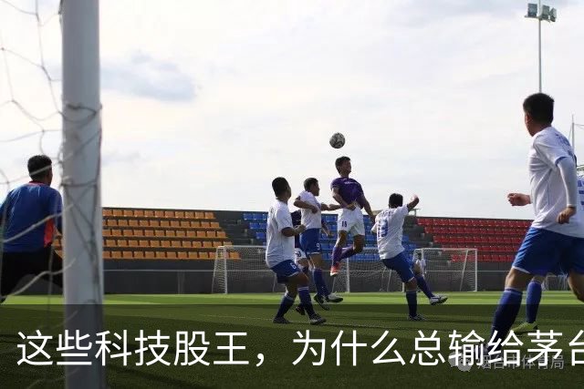 这些科技股王，为什么总输给茅台？