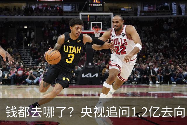 钱都去哪了？央视追问1.2亿去向，审核链条上的每一环都该睡不着