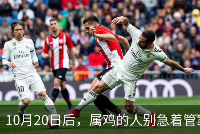 10月20日后，属鸡的人别急着管家里的事