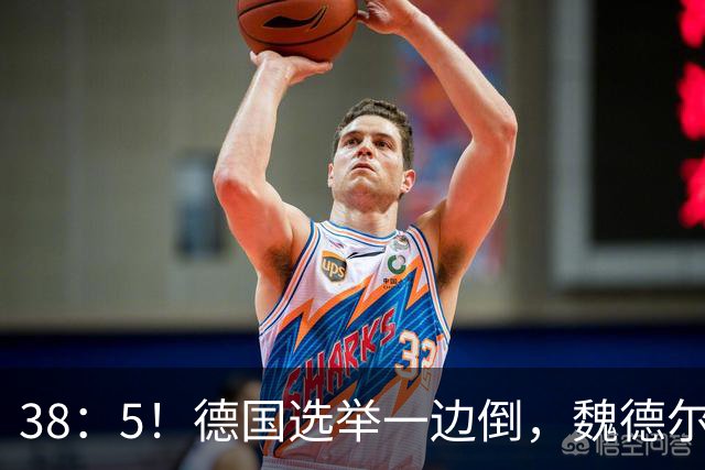 38：5！德国选举一边倒，魏德尔碾压式获胜，中德关系或迎变天